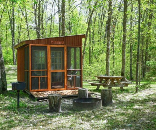 Walkback screened porch, firepit, picnic table, charcoal grill
